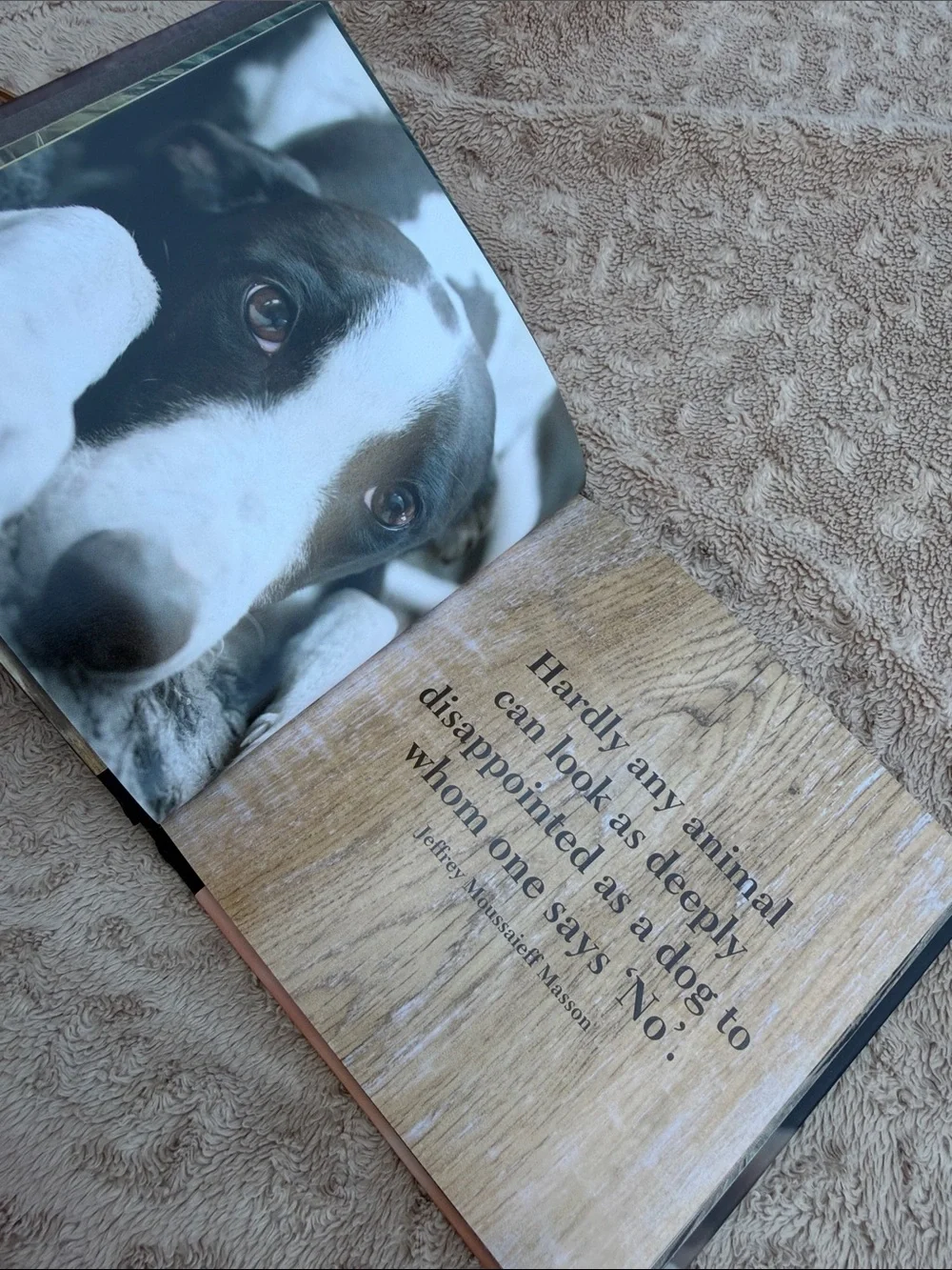 The Dog by Ella Earle 🐶 Black and Brown Hardcover Dog Book